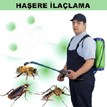 Arapgir Böcek İlaçlama